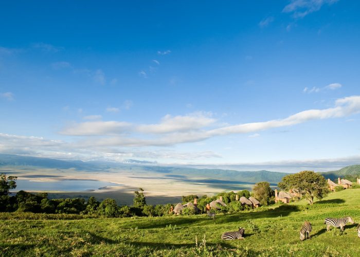cca migration ngorongoro